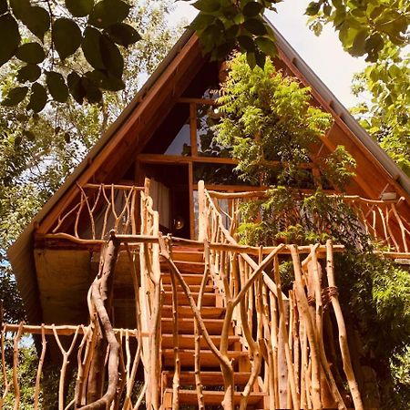 Angry Birds Tree House Apartamento Habarana Exterior foto