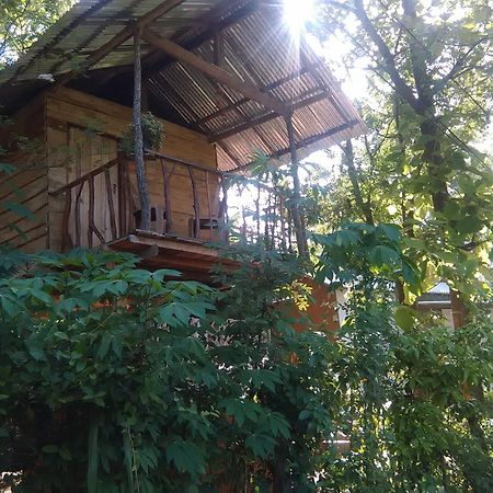 Angry Birds Tree House Apartamento Habarana Exterior foto