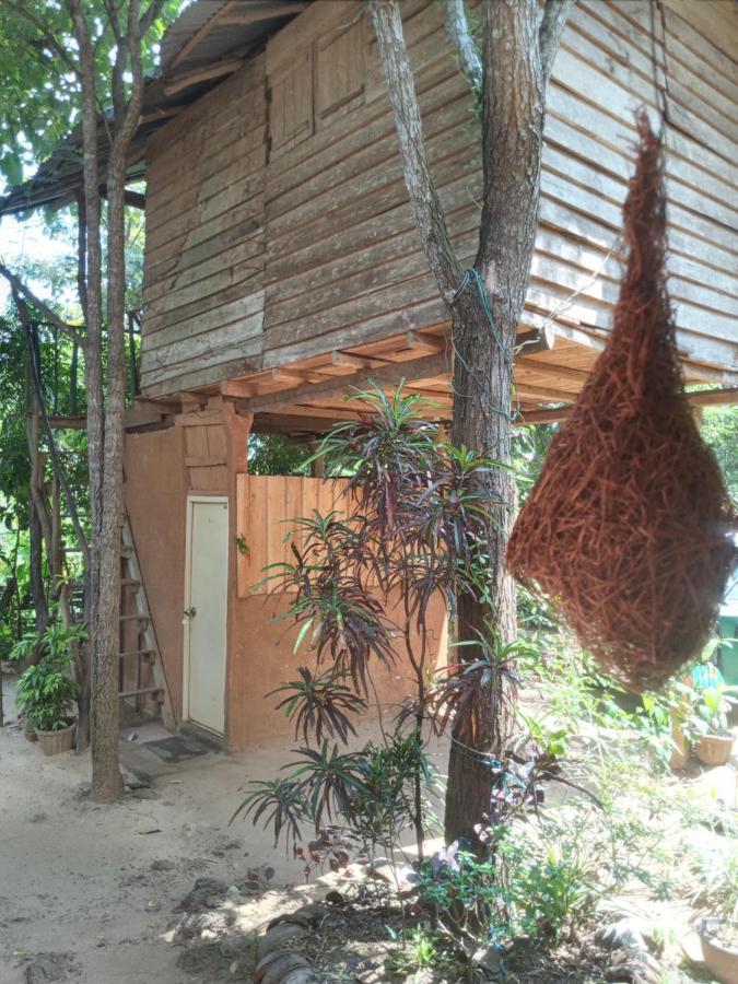 Angry Birds Tree House Apartamento Habarana Exterior foto