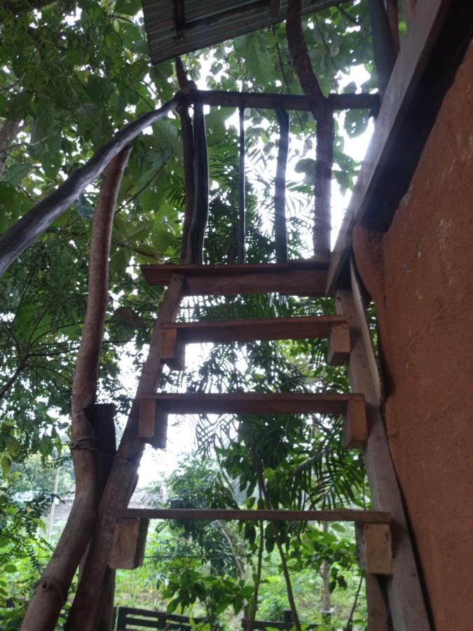 Angry Birds Tree House Apartamento Habarana Exterior foto
