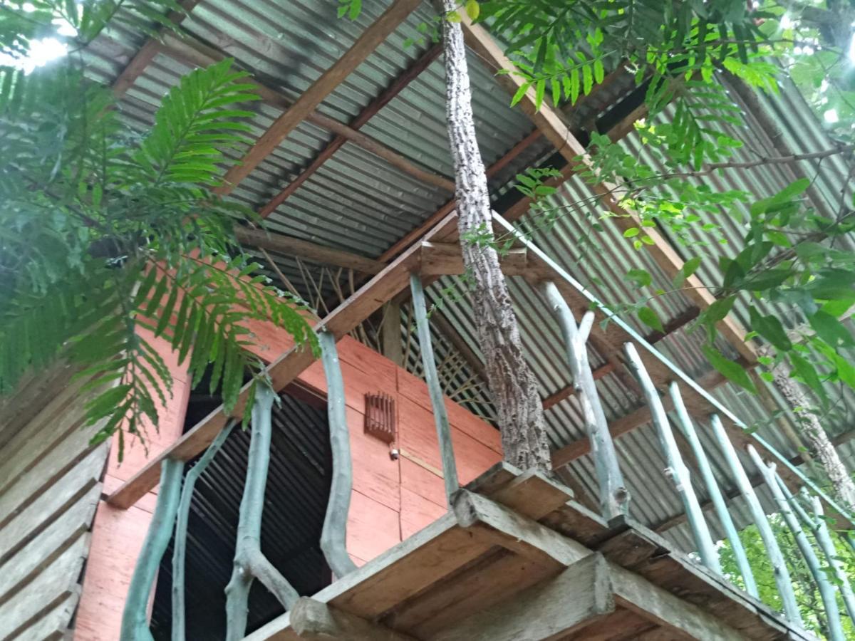 Angry Birds Tree House Apartamento Habarana Exterior foto