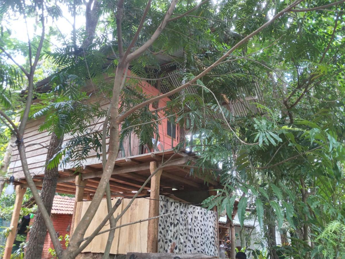 Angry Birds Tree House Apartamento Habarana Exterior foto