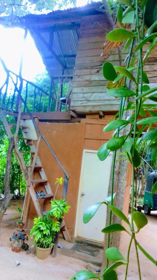 Angry Birds Tree House Apartamento Habarana Exterior foto