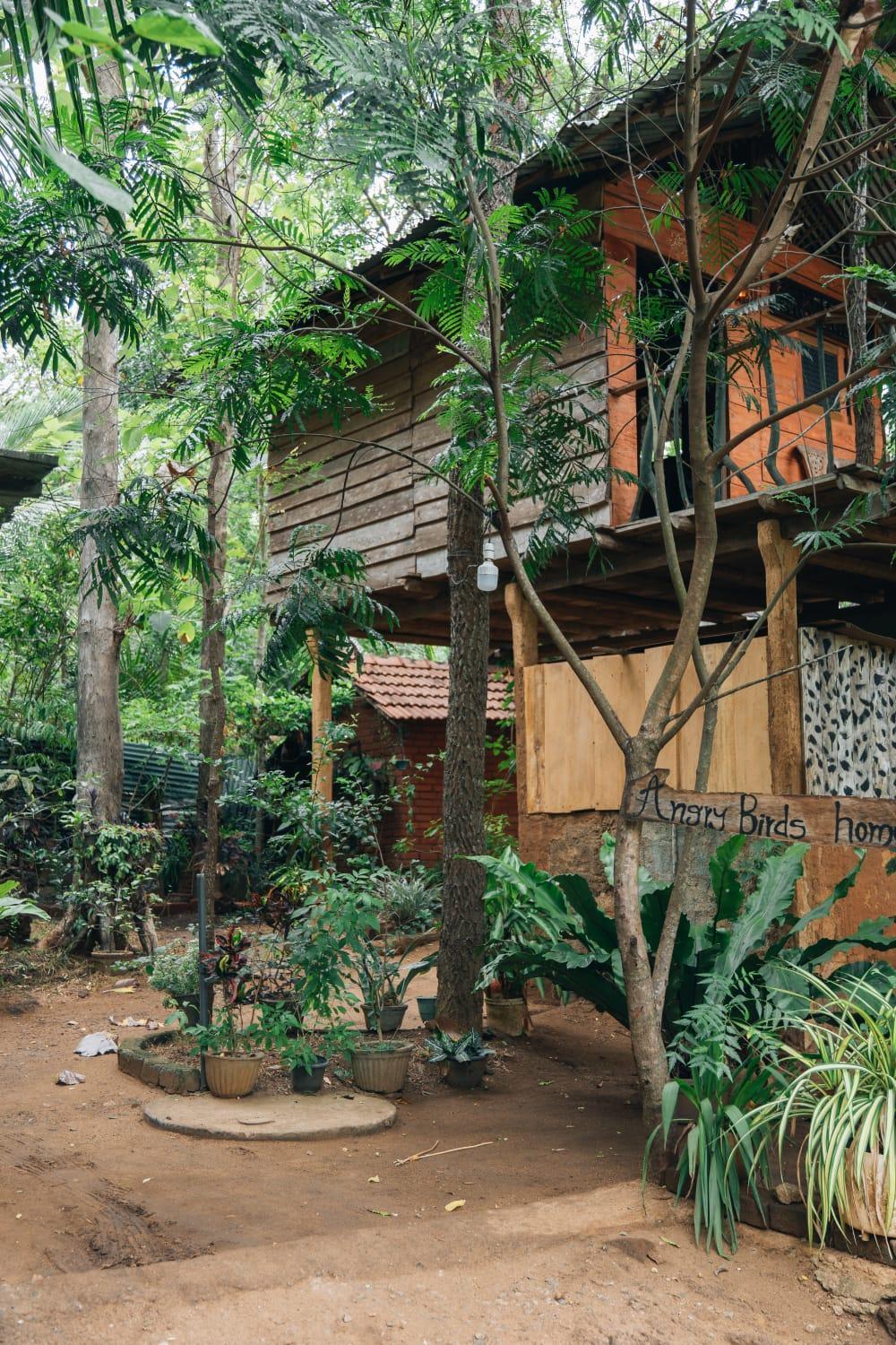 Angry Birds Tree House Apartamento Habarana Exterior foto