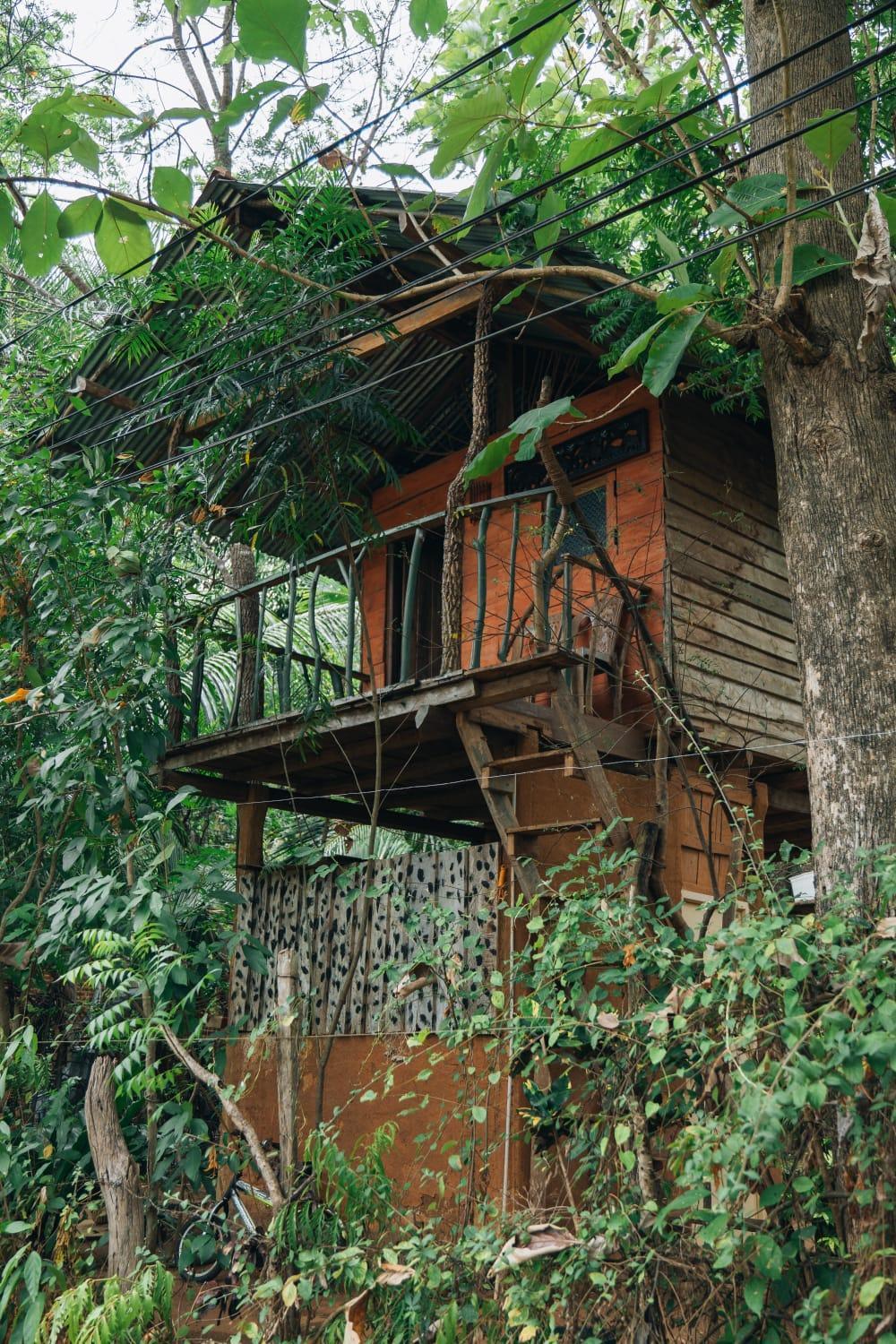 Angry Birds Tree House Apartamento Habarana Exterior foto