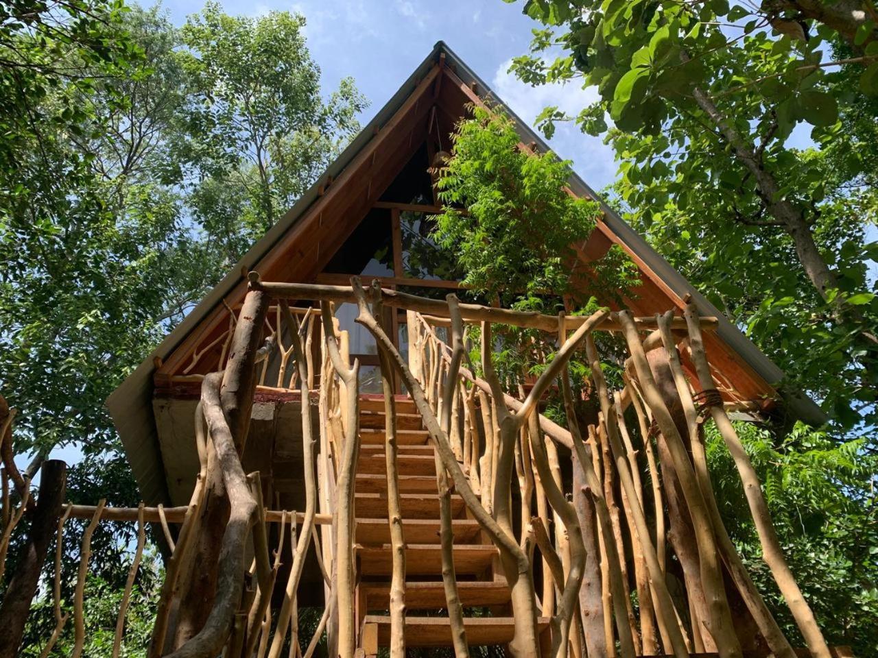 Angry Birds Tree House Apartamento Habarana Quarto foto