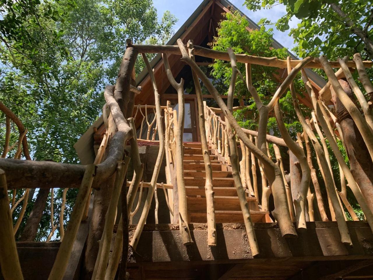Angry Birds Tree House Apartamento Habarana Exterior foto