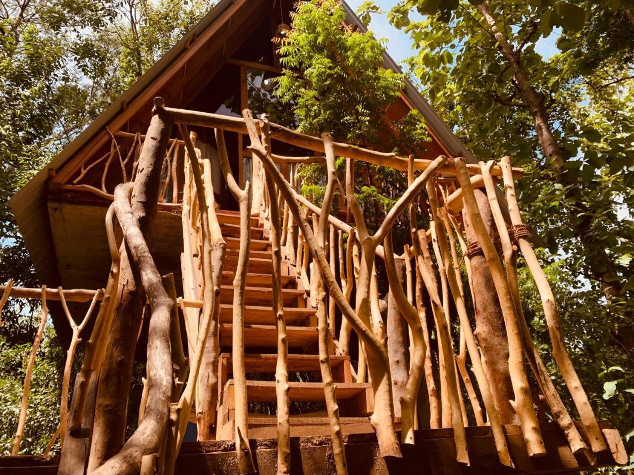 Angry Birds Tree House Apartamento Habarana Exterior foto