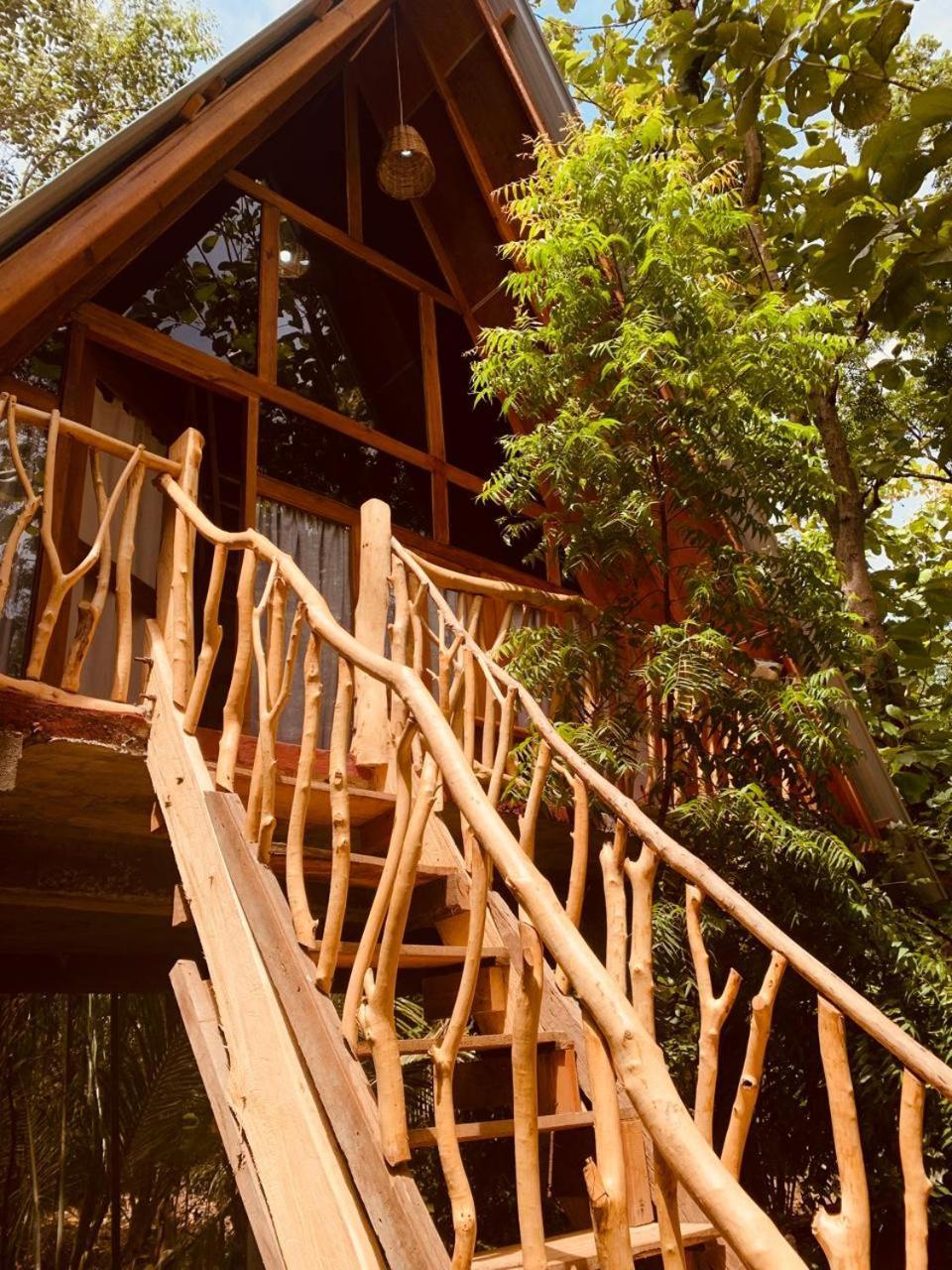 Angry Birds Tree House Apartamento Habarana Exterior foto