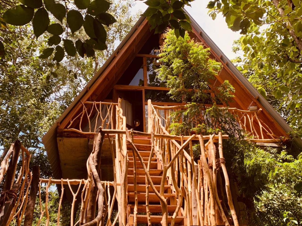 Angry Birds Tree House Apartamento Habarana Exterior foto