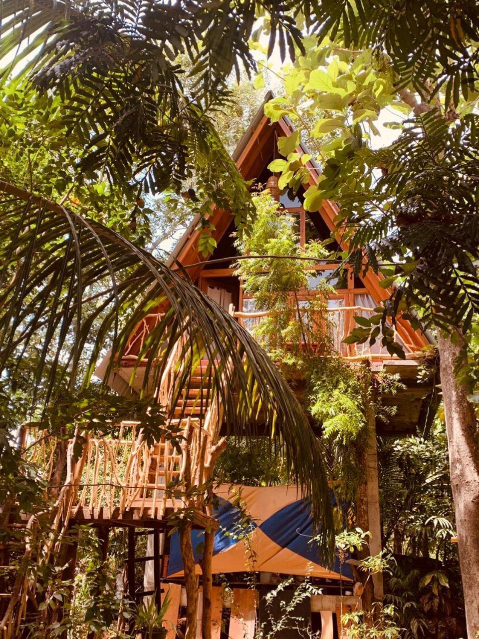 Angry Birds Tree House Apartamento Habarana Exterior foto