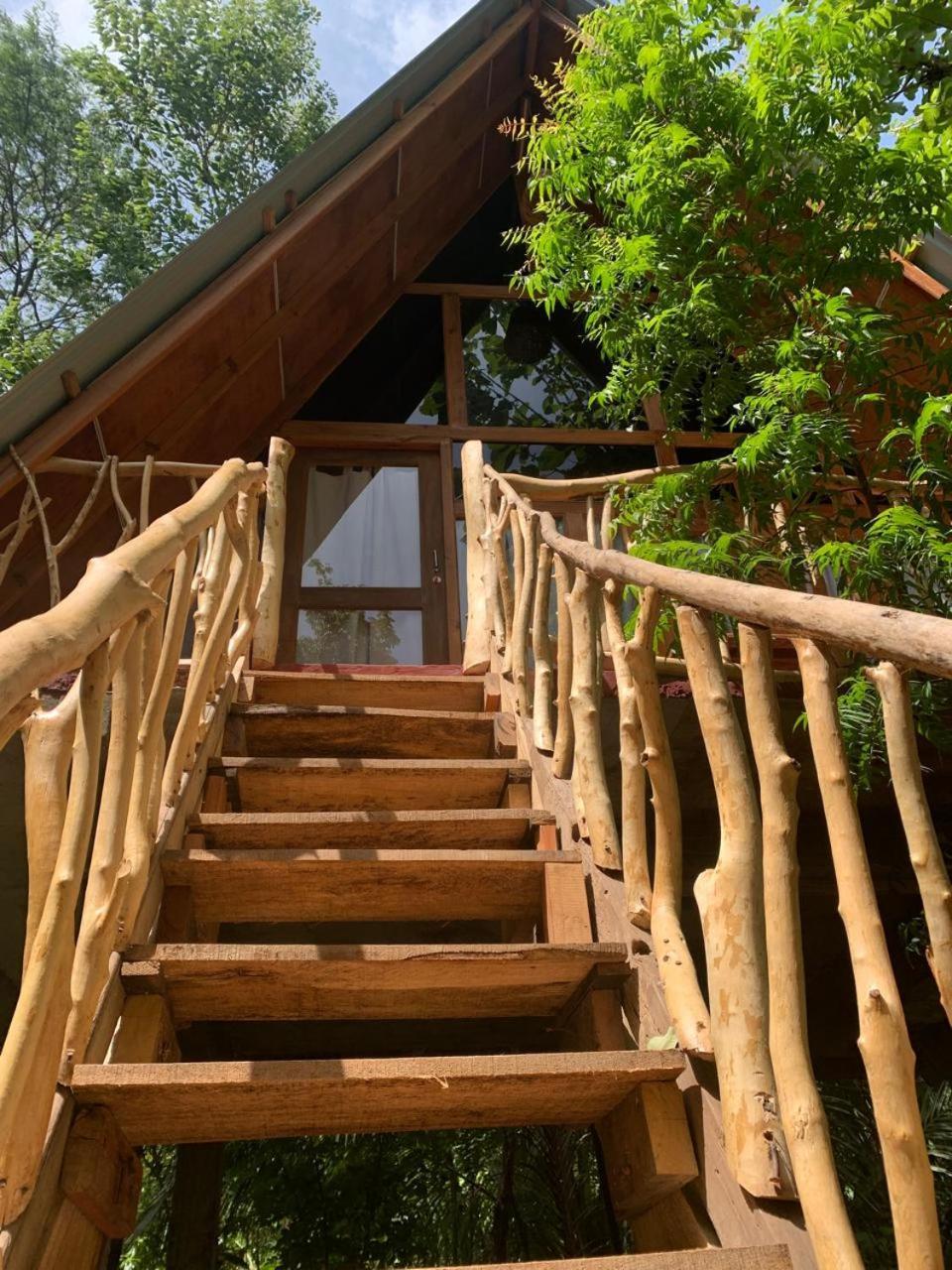 Angry Birds Tree House Apartamento Habarana Exterior foto