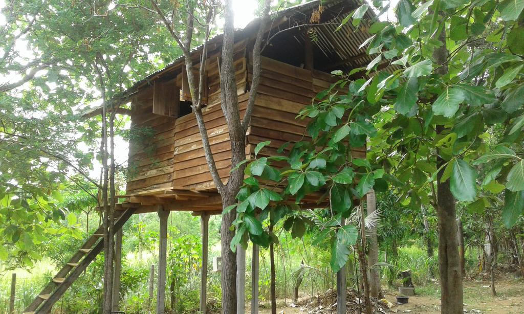 Angry Birds Tree House Apartamento Habarana Exterior foto