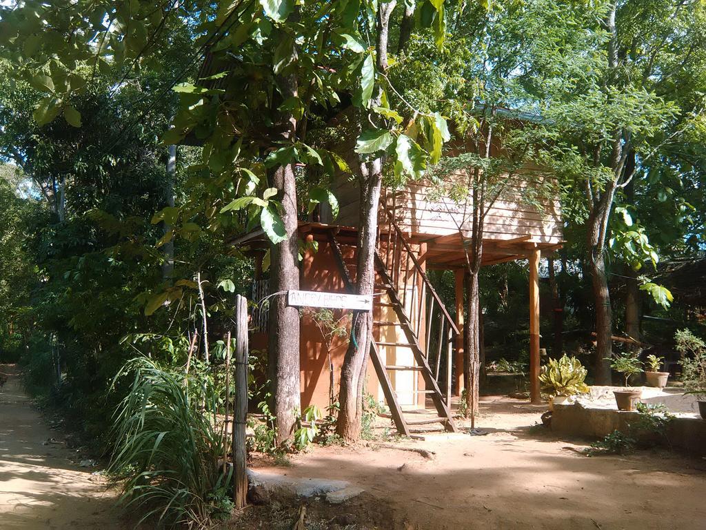 Angry Birds Tree House Apartamento Habarana Exterior foto