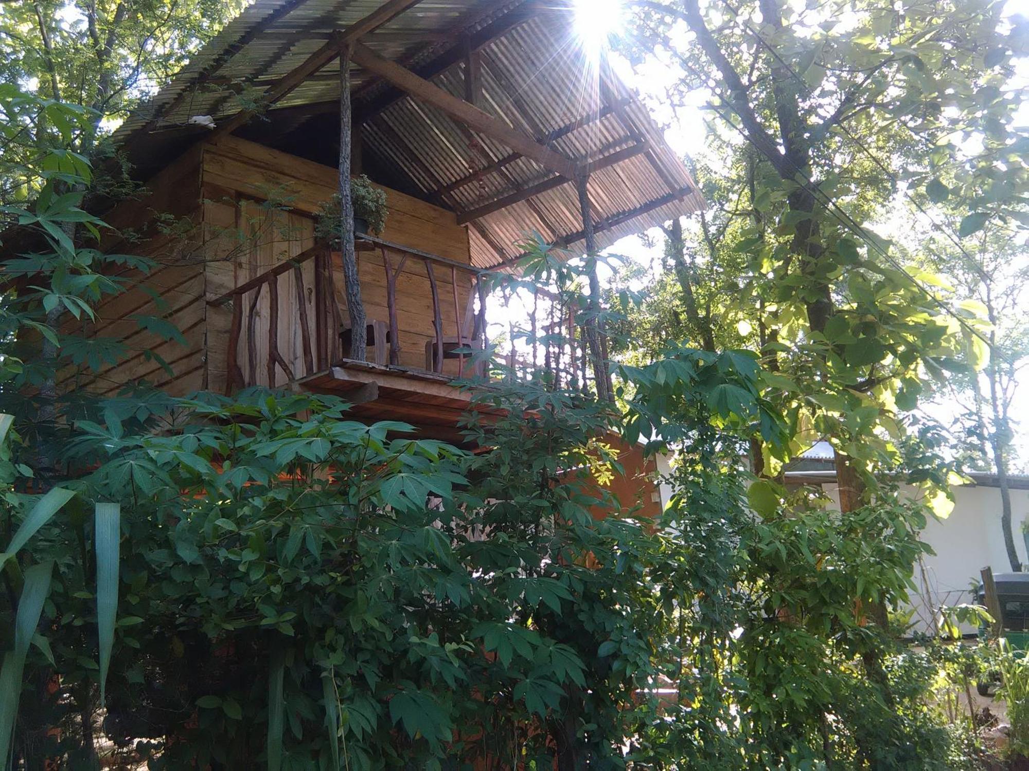 Angry Birds Tree House Apartamento Habarana Exterior foto