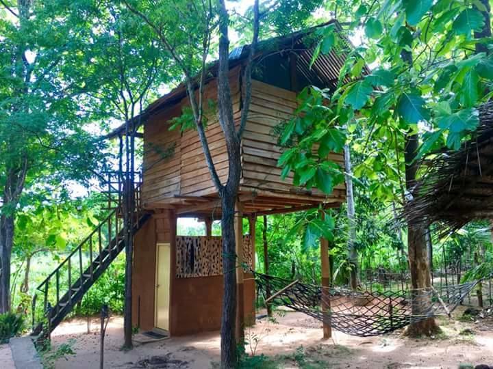 Angry Birds Tree House Apartamento Habarana Exterior foto