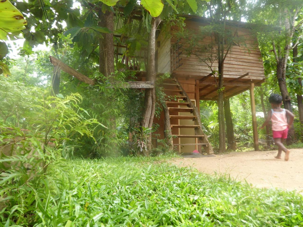 Angry Birds Tree House Apartamento Habarana Exterior foto